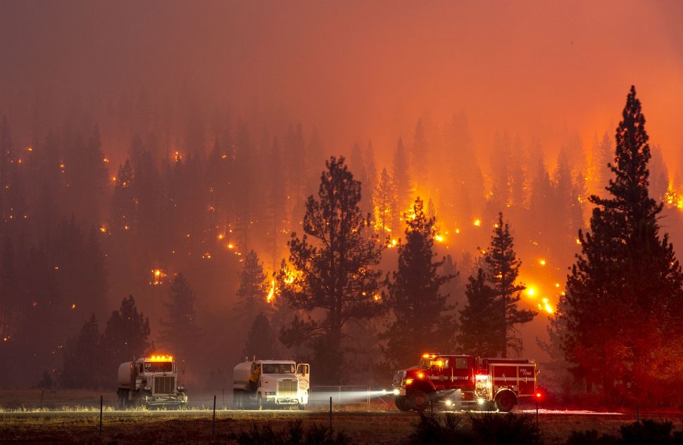 Bencana Kebakaran Hutan di California: Kisah Keberanian, Kerugian, dan Harapan