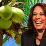 Meme 'Pohon Kelapa' Kamala Harris itu Organic, Tangani dengan Hati-hati