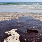 Para pengguna laut dikejutkan oleh insiden yang menakutkan di lepas pantai Amerika Serikat kemarin ketika sebuah paus pemecah permukaan (breaching whale) menghantam sebuahboat dan menjatuhkan dua orang ke laut.