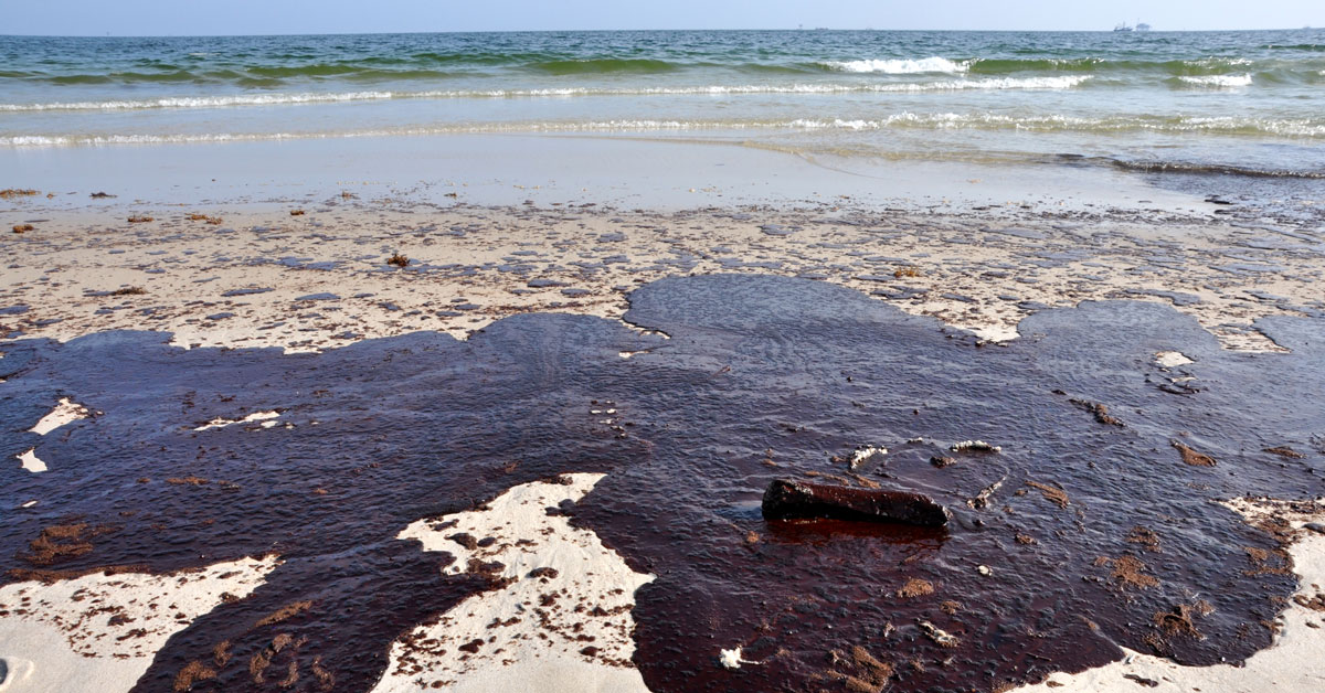 Para pengguna laut dikejutkan oleh insiden yang menakutkan di lepas pantai Amerika Serikat kemarin ketika sebuah paus pemecah permukaan (breaching whale) menghantam sebuahboat dan menjatuhkan dua orang ke laut.