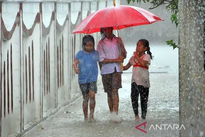 Hujan Kilat Menerjang Dollywood: Kisah Ketahanan dan Kebersamaan di Tengah Bencana