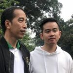 Gibran dan Bayang-Bayang Perlindungan: Sebuah Analisis Politik atas Ancaman Hukuman terhadap Jokowi