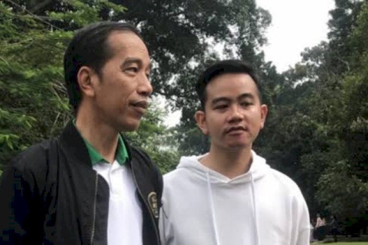 Gibran dan Bayang-Bayang Perlindungan: Sebuah Analisis Politik atas Ancaman Hukuman terhadap Jokowi