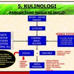 Tuban: Dari Lumbung Pangan Lokal Menuju Pusat Ketahanan Pangan Nasional